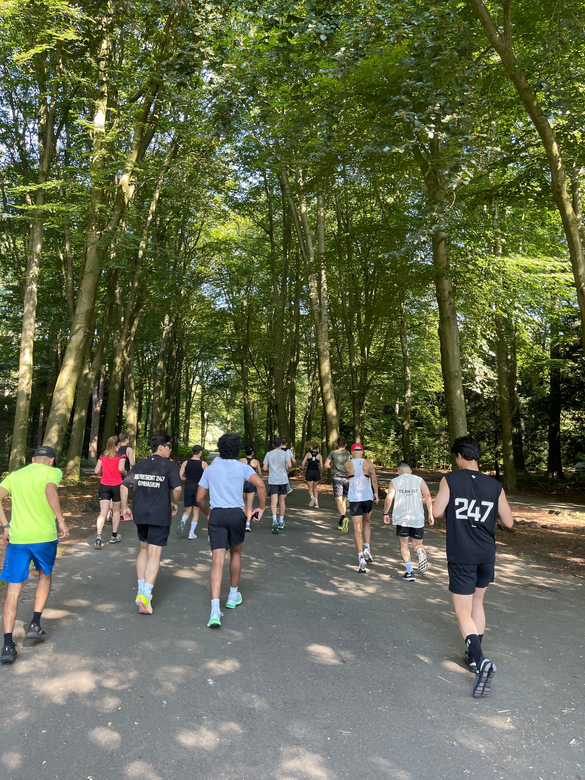 The Best Running Trails Around Eindhoven